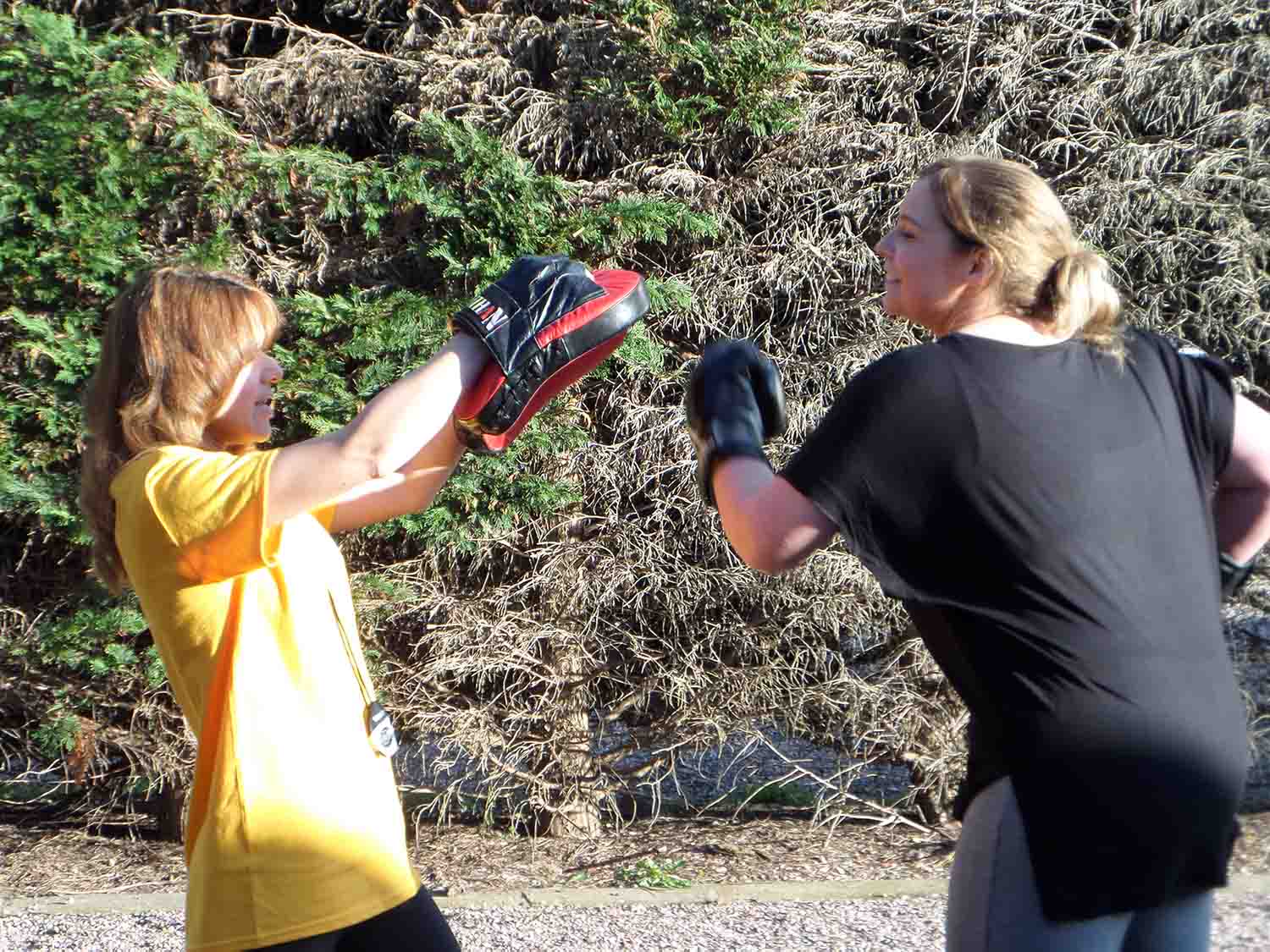 personal trainer qualifications