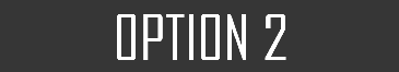 OPTION 2